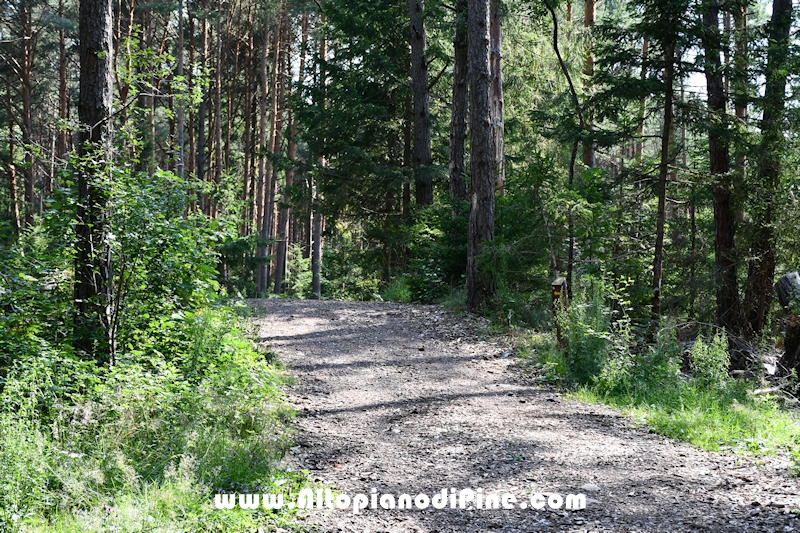Giro del biotopo del Laghestel