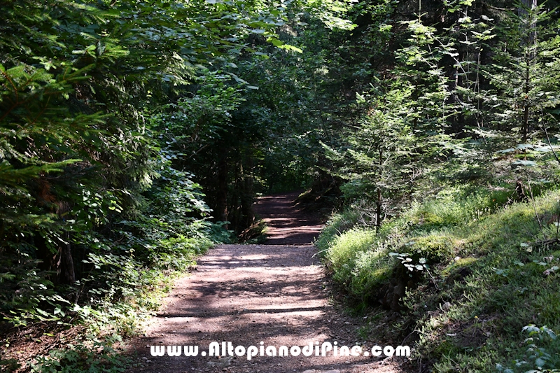Giro del biotopo del Laghestel