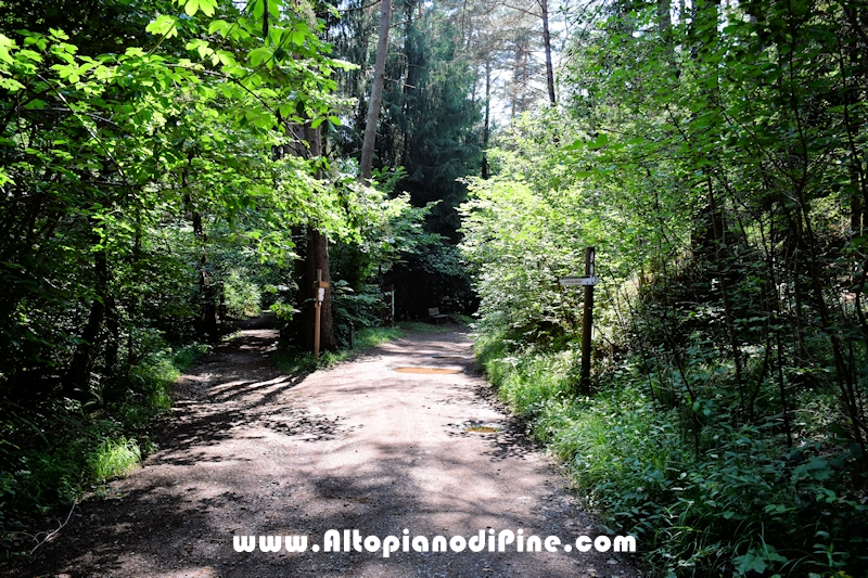 Giro del biotopo del Laghestel