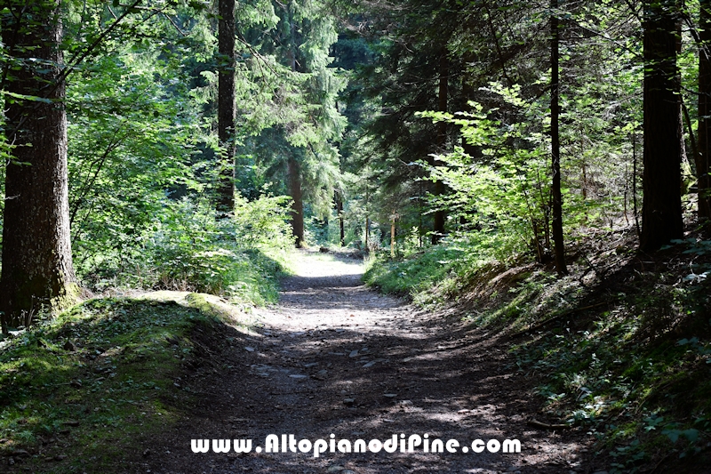 Giro del biotopo del Laghestel