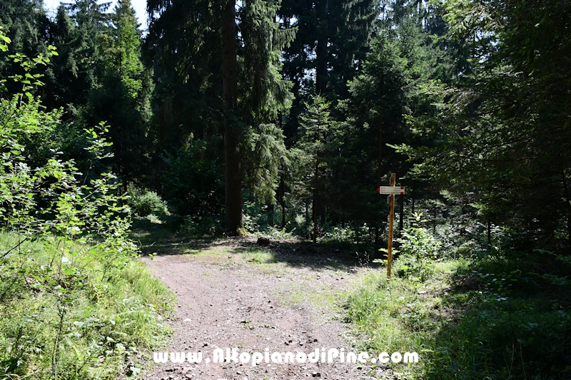 Giro del biotopo del Laghestel