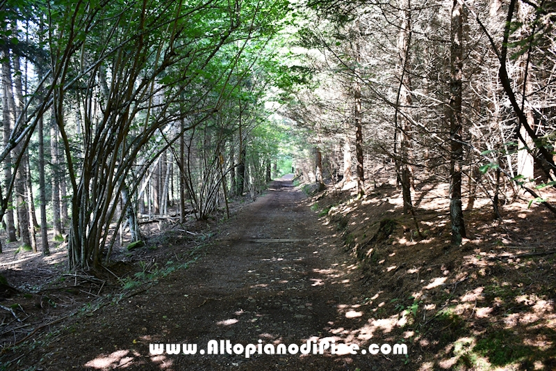 Giro del biotopo del Laghestel