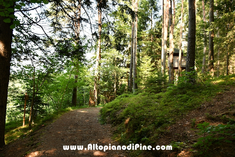 Giro del biotopo del Laghestel