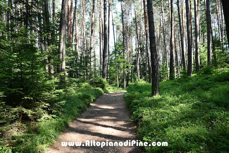 Giro del biotopo del Laghestel
