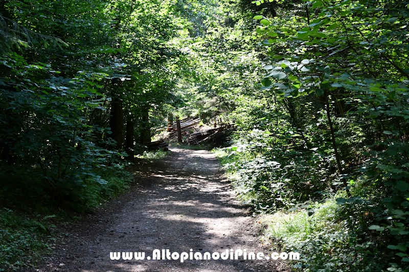 Giro del biotopo del Laghestel