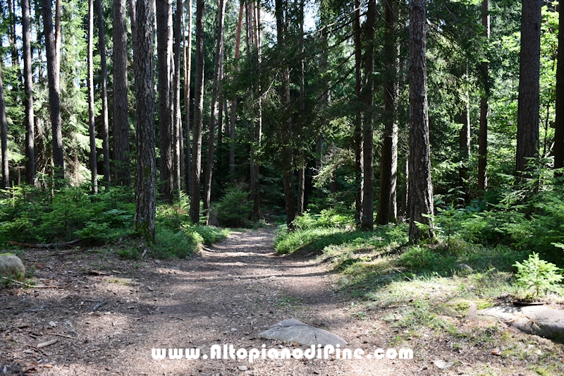 Giro del biotopo del Laghestel