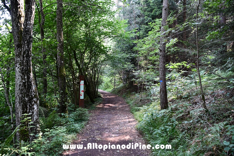 Giro del biotopo del Laghestel