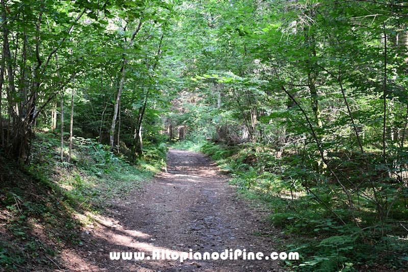 Giro del biotopo del Laghestel