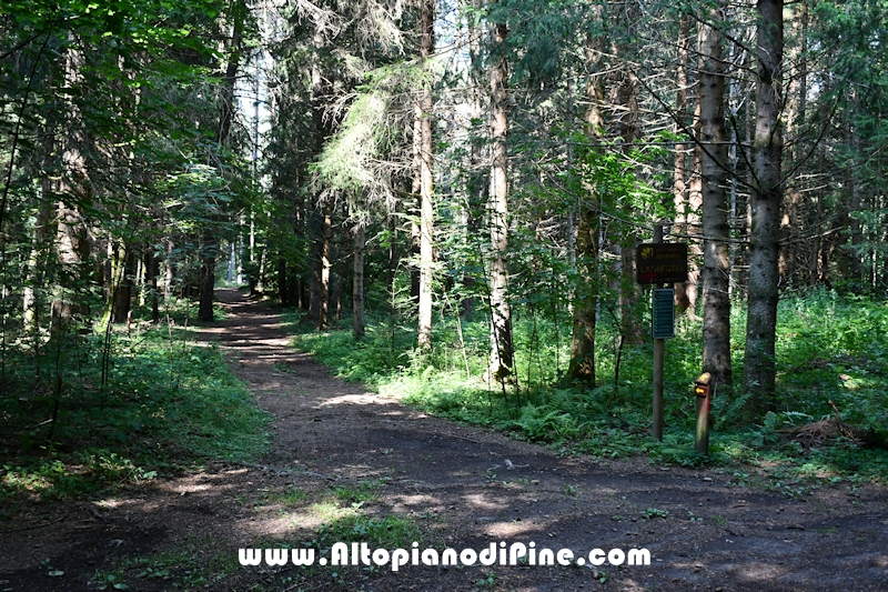 Giro del biotopo del Laghestel