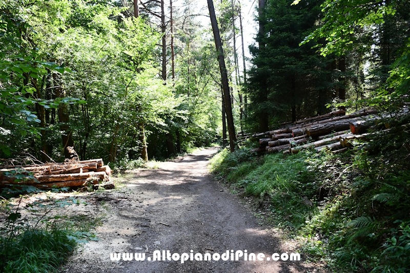 Giro del biotopo del Laghestel