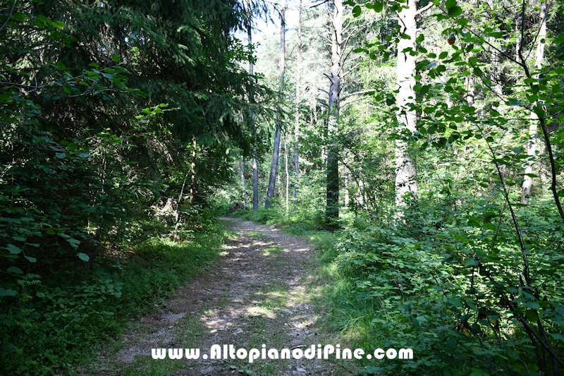 Giro del biotopo del Laghestel