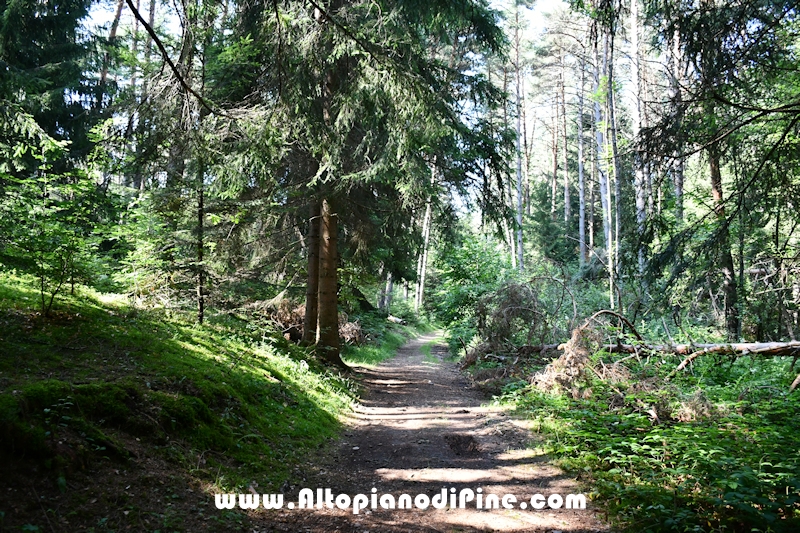 Giro del biotopo del Laghestel