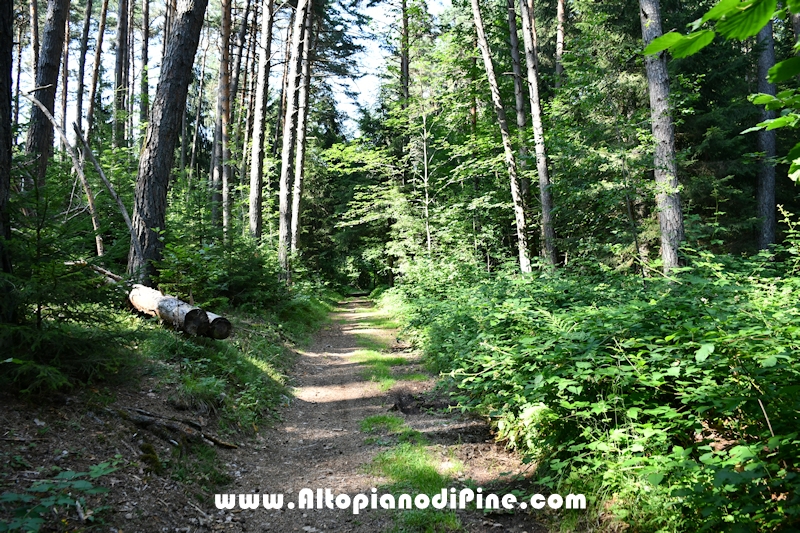 Giro del biotopo del Laghestel
