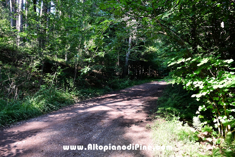 Giro del biotopo del Laghestel