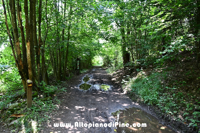 Giro del biotopo del Laghestel