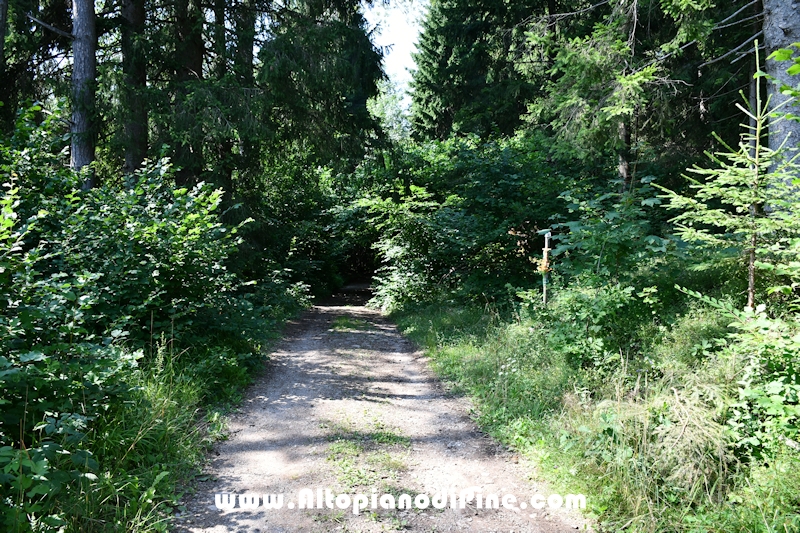 Giro del biotopo del Laghestel