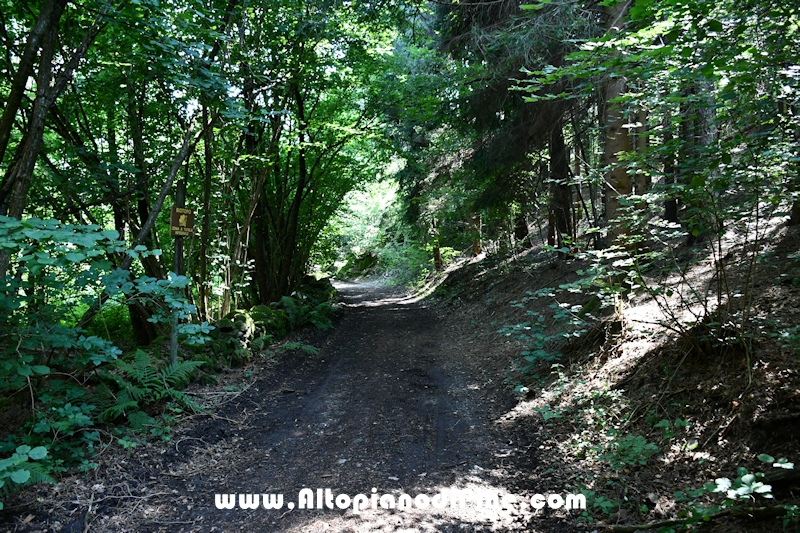 Giro del biotopo del Laghestel