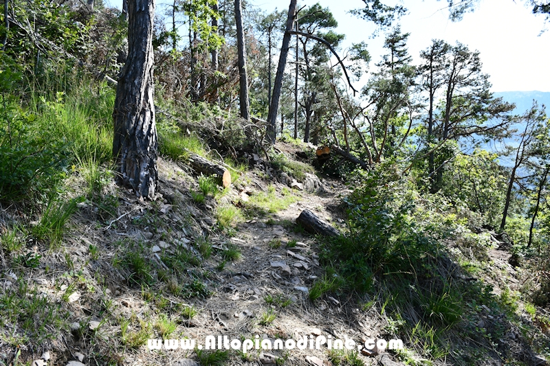 Passeggiata Serraia - Marmitta Giganti - Punto panoramico