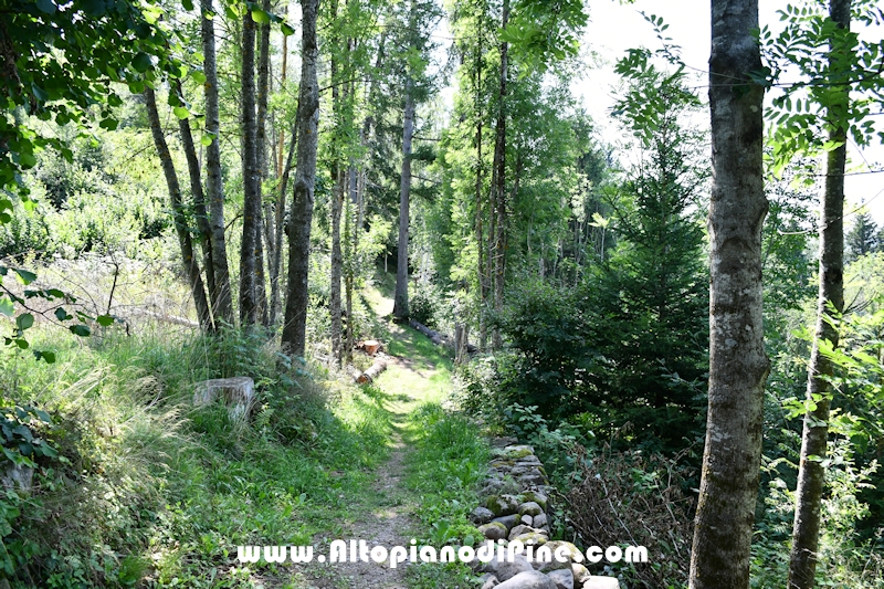 Passeggiata Serraia - Miola