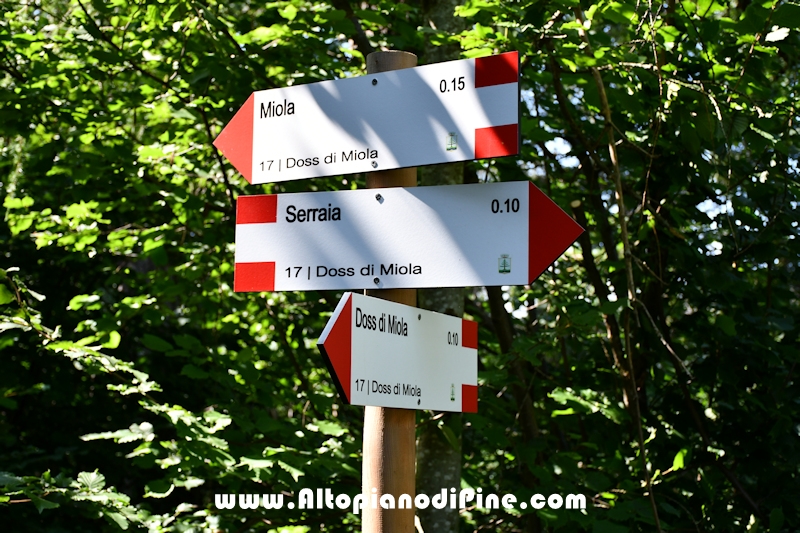 Passeggiata Serraia - Miola