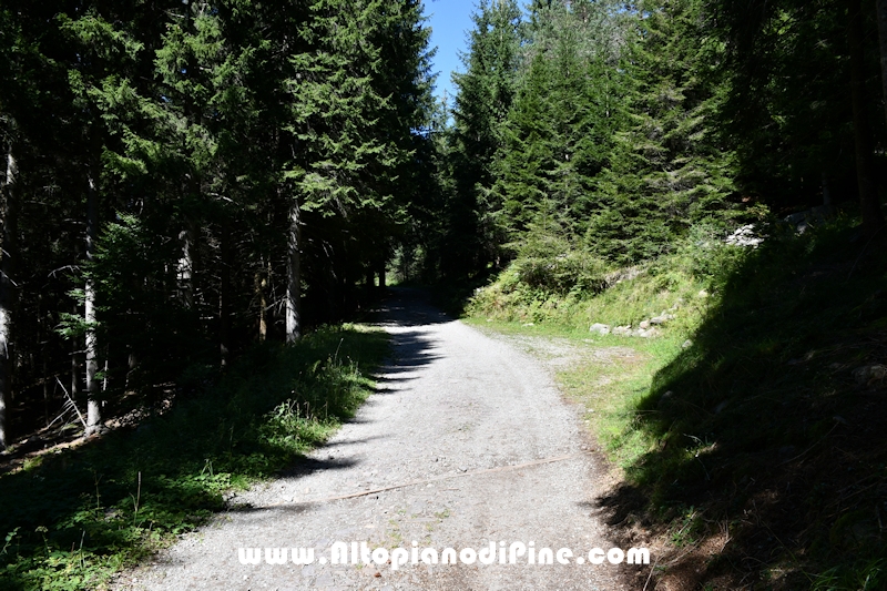 Passeggiata Baita Alpina - Cros del Cuc