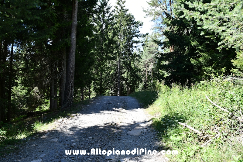 Passeggiata Baita Alpina - Cros del Cuc