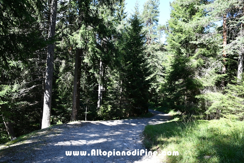 Passeggiata Baita Alpina - Cros del Cuc