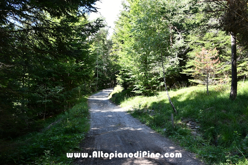Passeggiata Baita Alpina - Cros del Cuc