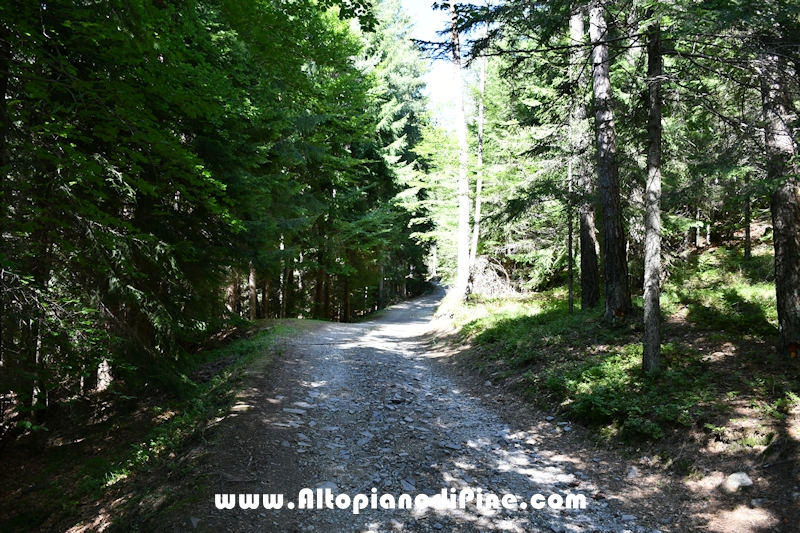 Passeggiata Baita Alpina - Cros del Cuc