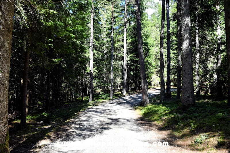 Passeggiata Baita Alpina - Cros del Cuc