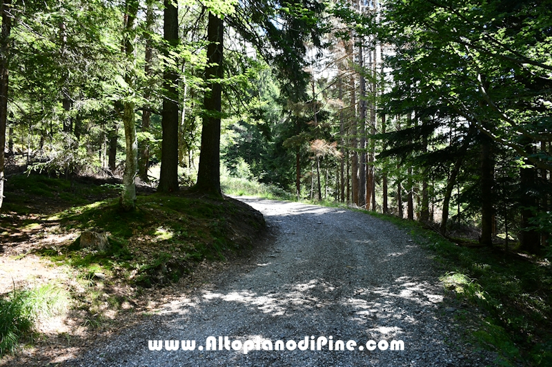 Passeggiata Baita Alpina - Cros del Cuc