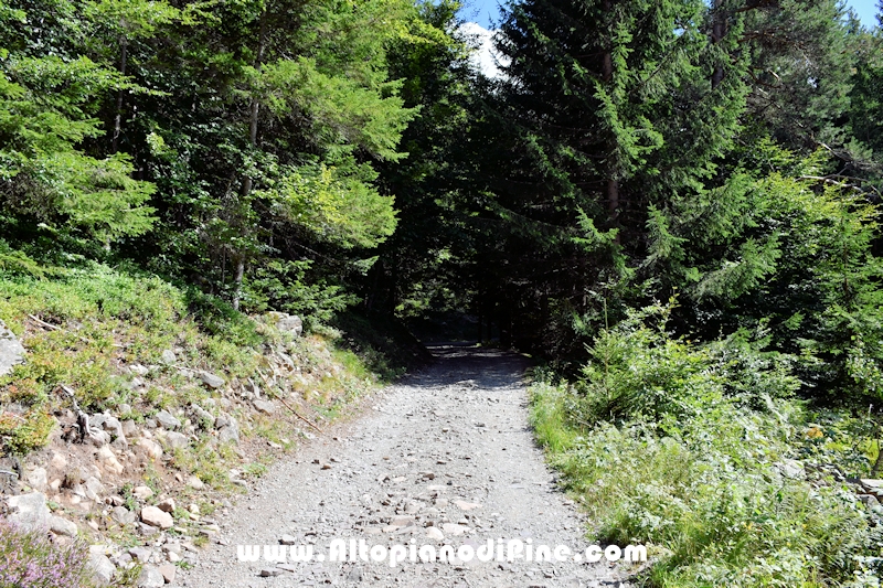 Passeggiata Baita Alpina - Cros del Cuc