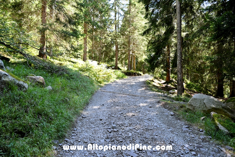 Passeggiata Baita Alpina - Cros del Cuc