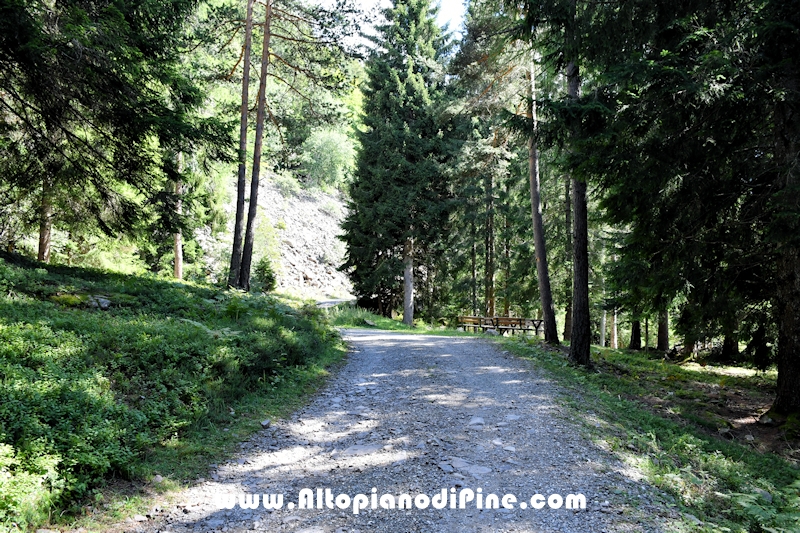 Passeggiata Baita Alpina - Cros del Cuc