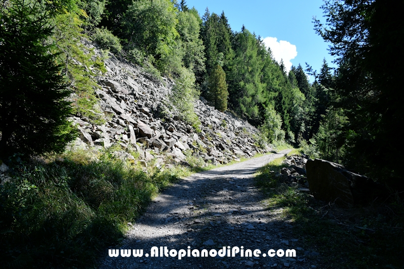 Passeggiata Baita Alpina - Cros del Cuc