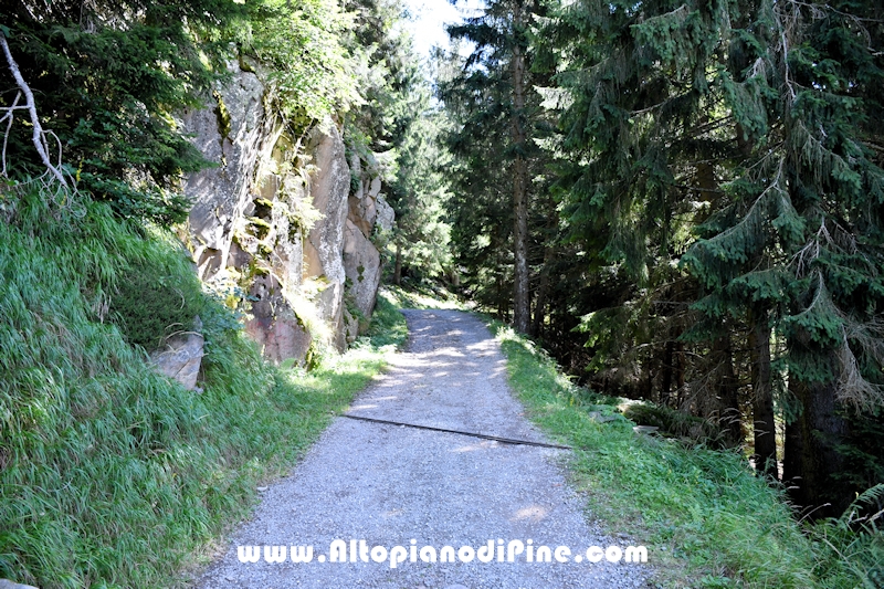 Passeggiata Baita Alpina - Cros del Cuc
