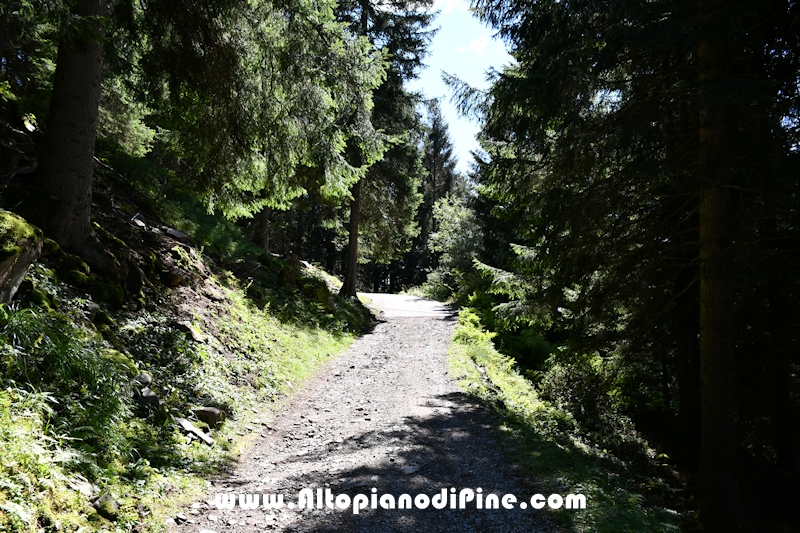 Passeggiata Baita Alpina - Cros del Cuc