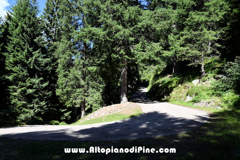 Passeggiata Baita Alpina - Cros del Cuc