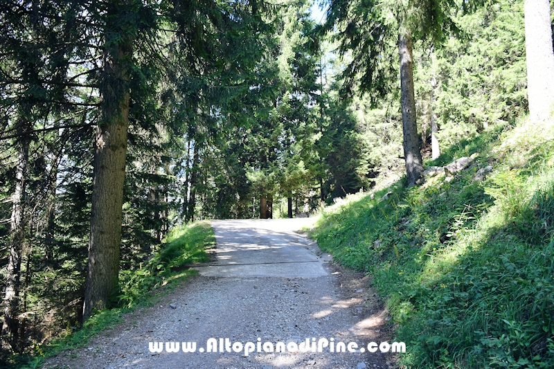 Passeggiata Baita Alpina - Cros del Cuc