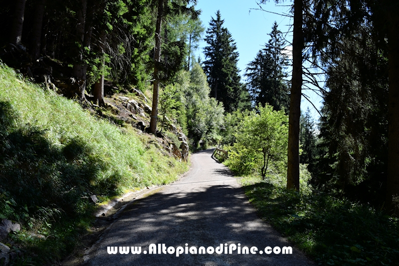 Passeggiata Baita Alpina - Cros del Cuc