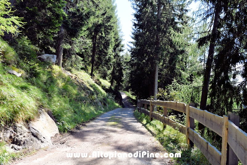 Passeggiata Baita Alpina - Cros del Cuc