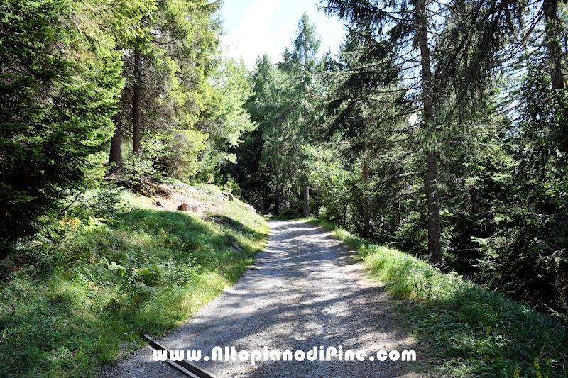Passeggiata Baita Alpina - Cros del Cuc
