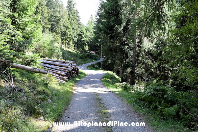 Passeggiata Baita Alpina - Cros del Cuc