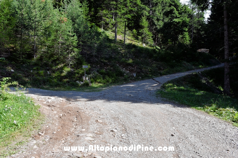 Passeggiata Baita Alpina - Cros del Cuc