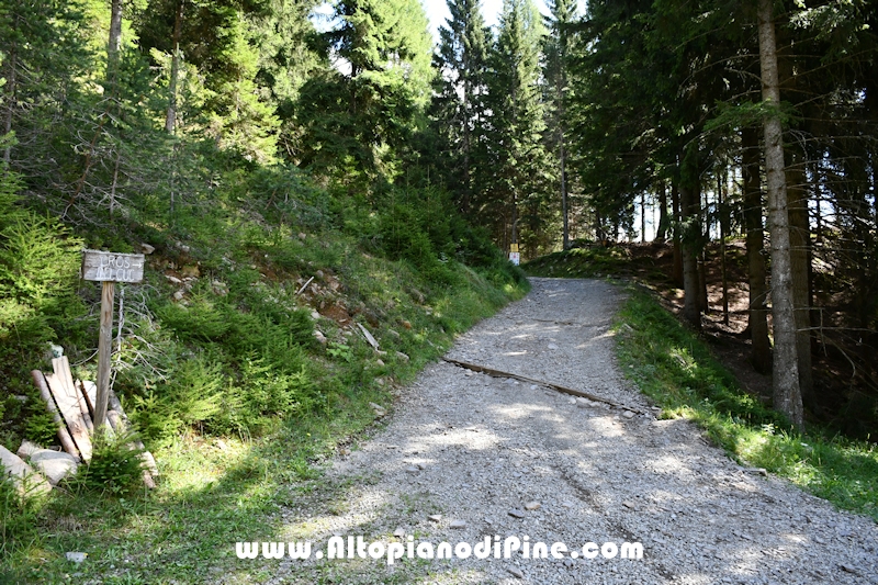 Passeggiata Baita Alpina - Cros del Cuc