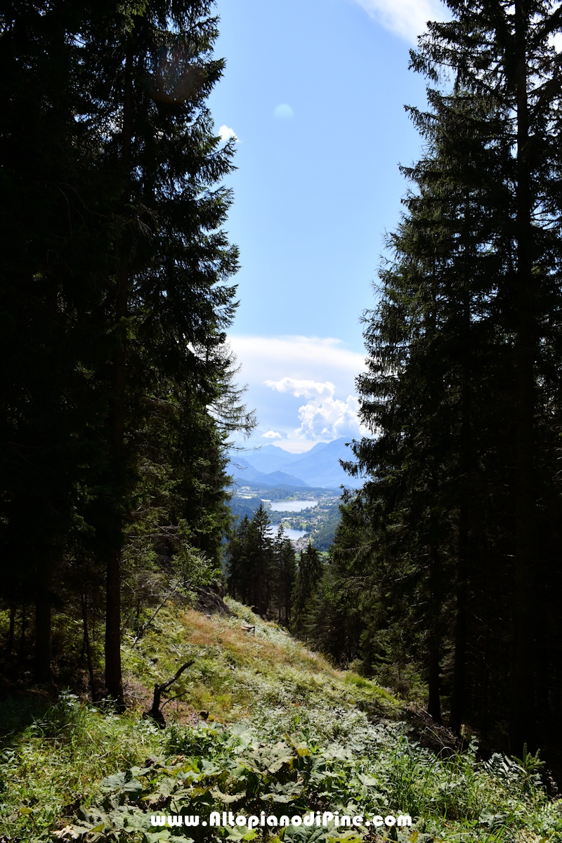 Passeggiata Baita Alpina - Cros del Cuc