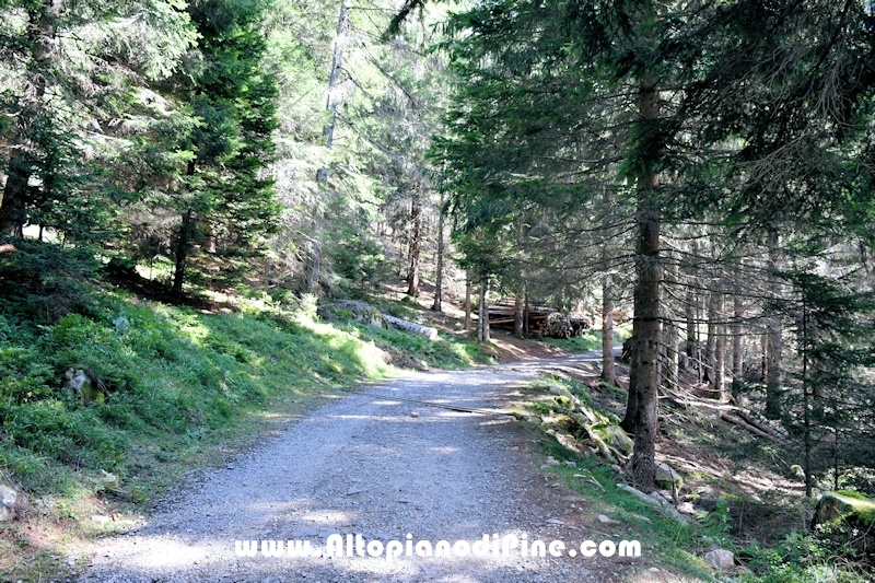 Passeggiata Baita Alpina - Cros del Cuc