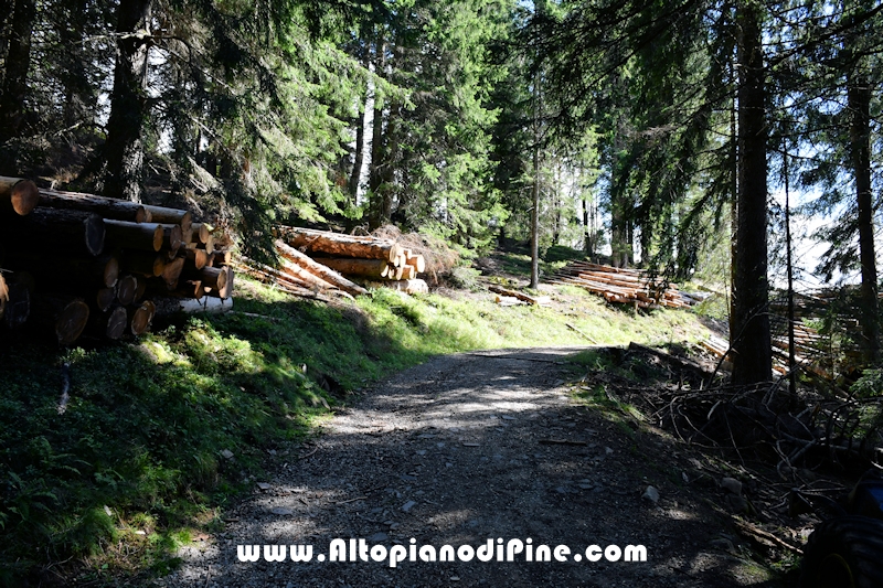 Passeggiata Baita Alpina - Cros del Cuc