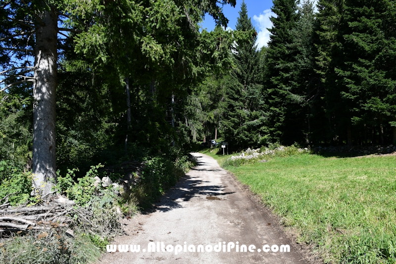 Passeggiata Baita Alpina - Cros del Cuc