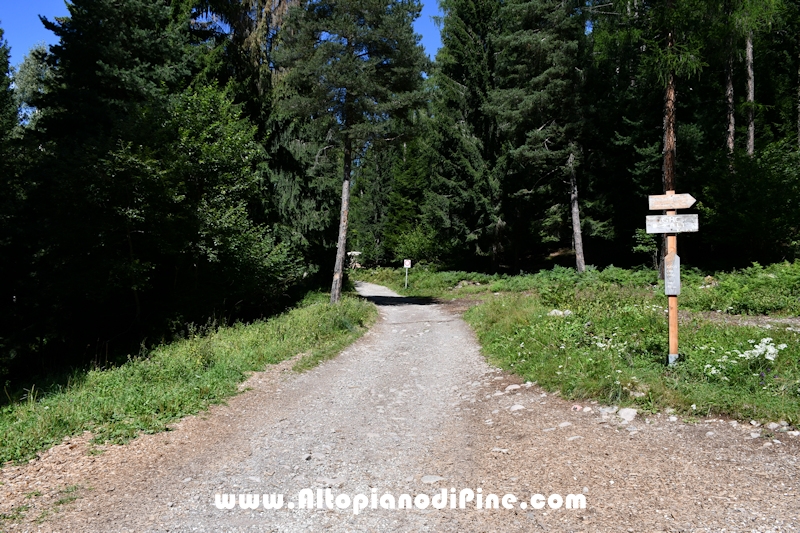 Passeggiata Baita Alpina - Cros del Cuc
